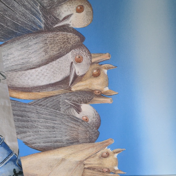 #3  😍 5 For $25 😍  Stellaluna 25th Anniversary Board Book - Picture 7 of 9